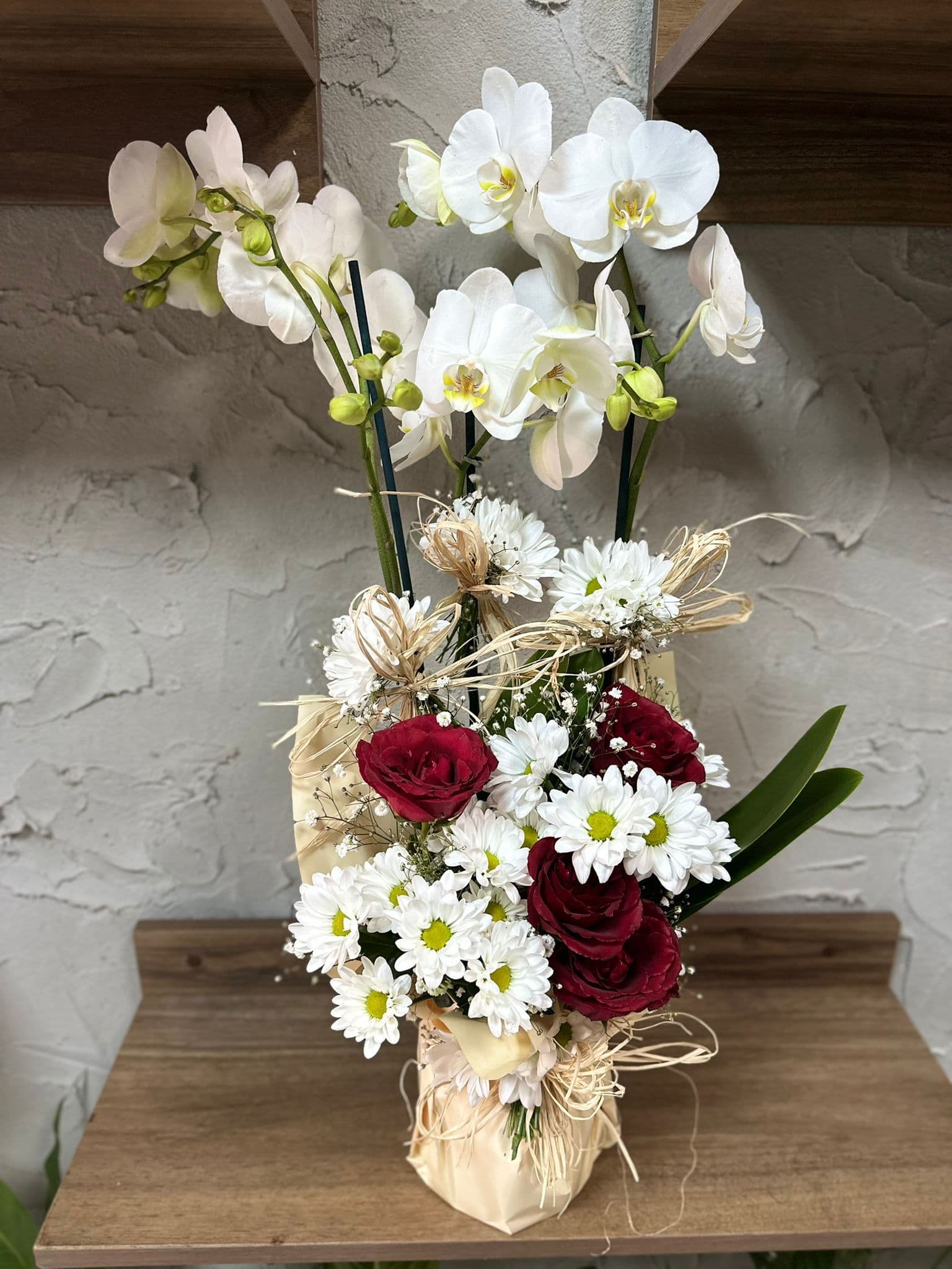 Sakarya İki Dai Orkide - Ada Çiçekçilik