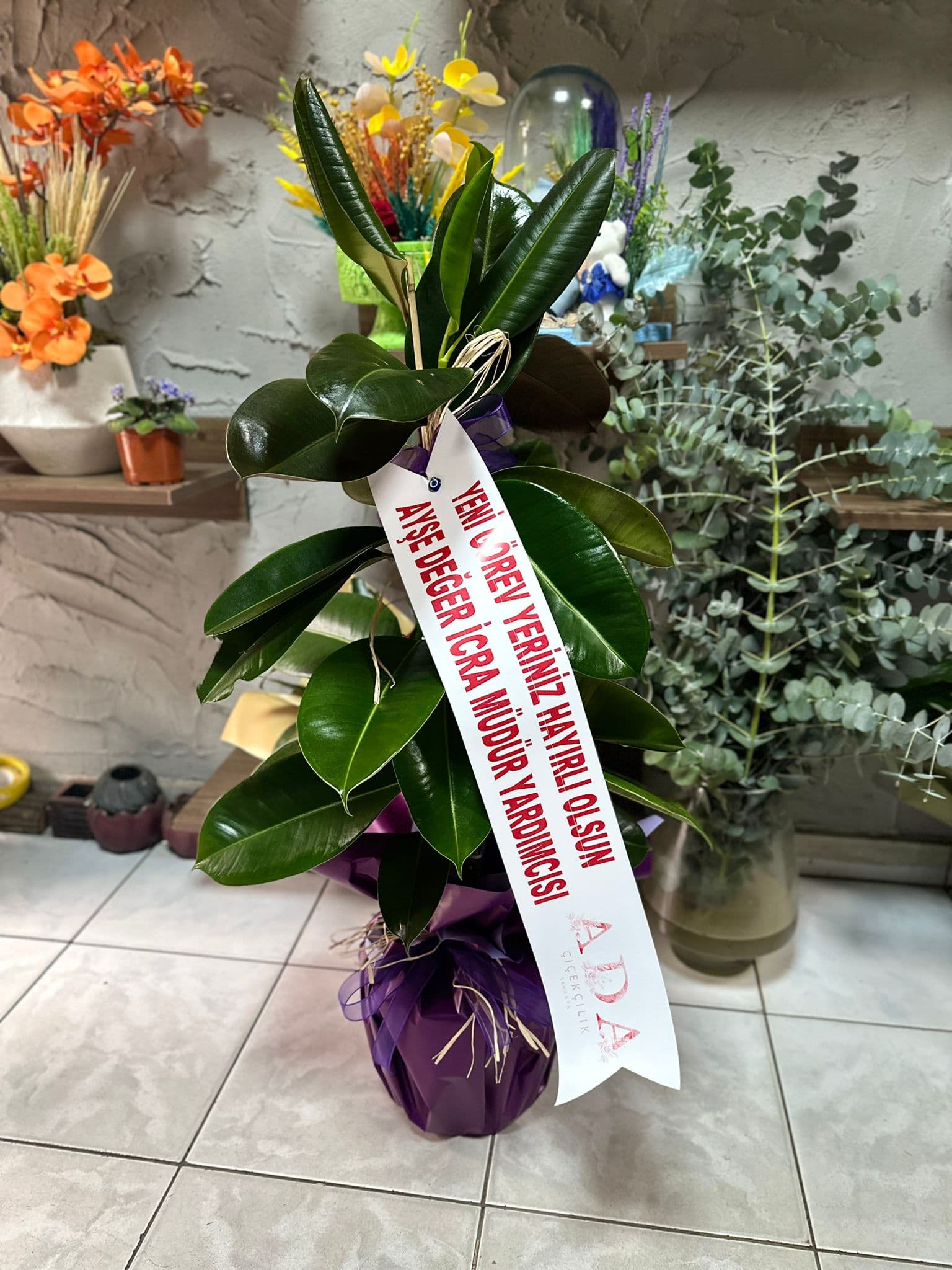 Sakarya Saksı Çiçekleri - Ada Çiçekçilik